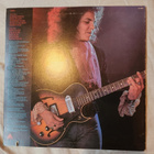Terry Garthwaite - Terry Lp (M-/EX) - pikkukuva 2