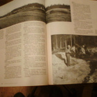 Saarnisto KARJALAN SYNTY ( 1 p. 2003 ) Sis.postikulut - pikkukuva 5