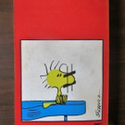 Charles M. Schulz: Lyö lennosta, Ressu! - pikkukuva 2