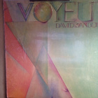 DAVID SANBORN :: VOYEUR :: VINYYLI  LP ...... USA - 1981 !! - pikkukuva 1