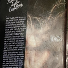 2 hienokuntoista Barbara Taylor Bradfordin kirjaa kerralla - pikkukuva 4
