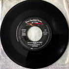 PAUL ANKA: You're having my baby / I don't like to sleep. - pikkukuva 1