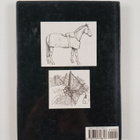 Tricia Johnson : The First Time Horse And Pony Owner - pikkukuva 2