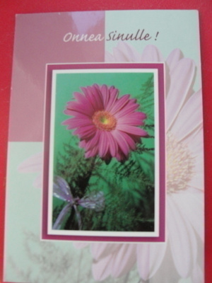 no 74 - ONNEA SINULLE