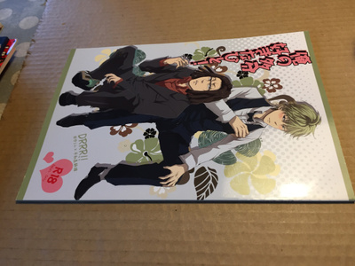 DRRR!! FAN BOOKS VOL 3 HYVÄ