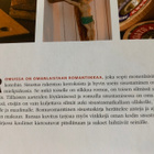 Romuromanttinen sisustuskirja - pikkukuva 3