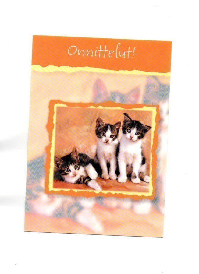 °°ONNITTELUT!°°... (Kissa)  -KORTTI / Paletti