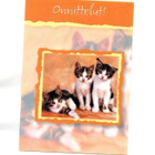 °°ONNITTELUT!°°... (Kissa)  -KORTTI / Paletti - pikkukuva 1