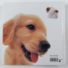 Carlton Uk ym. : The Puppy : Artlist Collection - pikkukuva 2