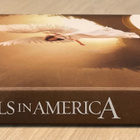 Mike Nichols: ANGELS IN AMERICA (2003) minisarja (2DVD) - pikkukuva 3