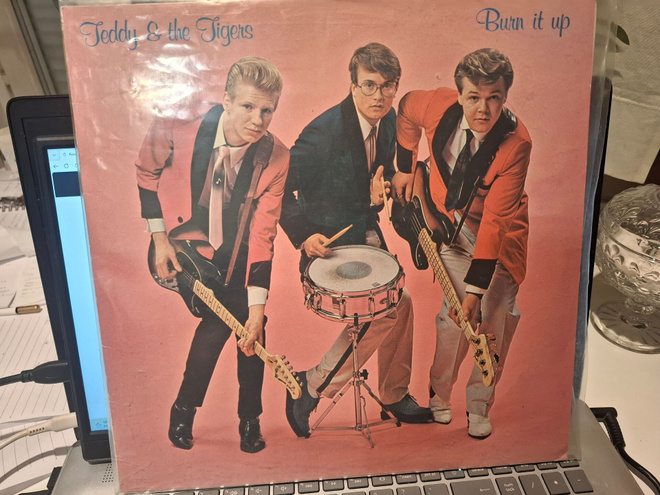 Teddy & The Tigers – Burn It Up vinyyli