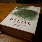 Carl Friedrich Philipp von Martius - The book of palms - pikkukuva 1