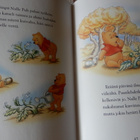DISNEY: YSTÄVYYDEN METSÄ - NALLE PUHIN TARINOITA - pikkukuva 3