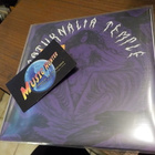 SATURNALIA TEMPLE - FORGOTTEN CULTS UUSI 7'' EP - pikkukuva 1