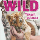 Lucy Courtenay: Wild, tiikerit pulassa - pikkukuva 1
