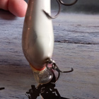 Rapala SFR-5 Finland - pikkukuva 4