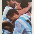 Kari Melart : Jalkapallon MM-kisat : Italia '90 - pikkukuva 2