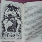 Jonathan Swift: Gullivers resor (hela verket) - pikkukuva 4