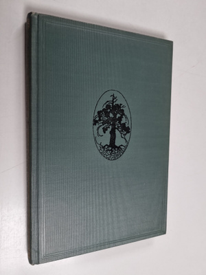A. H. Virkkunen : Isänmaallisia puheita