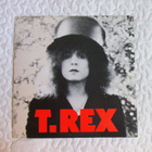 T. Rex – The Slider - LP - pikkukuva 1
