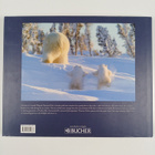 Little Polar Bears - pikkukuva 2