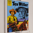 Gianluigi Bonelli : Tex Willer Kronikka 37 : Mingo, Kapin... - pikkukuva 1