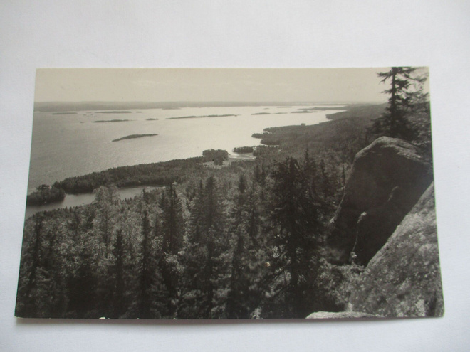 Koli -1955 rivil Yläkoli