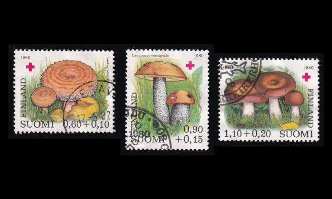 863-5 o Punainen Risti Sieniä (1980)
