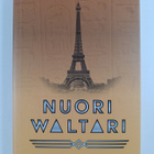Ville Eerola : Nuori Waltari : romaani - pikkukuva 1