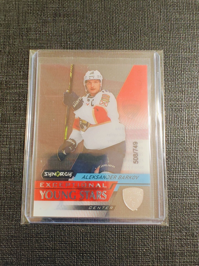 Aleksander Barkov 20-21 Synergy Exceptional Young Stars /749