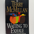 Terry McMillan : Waiting to exhale - pikkukuva 1