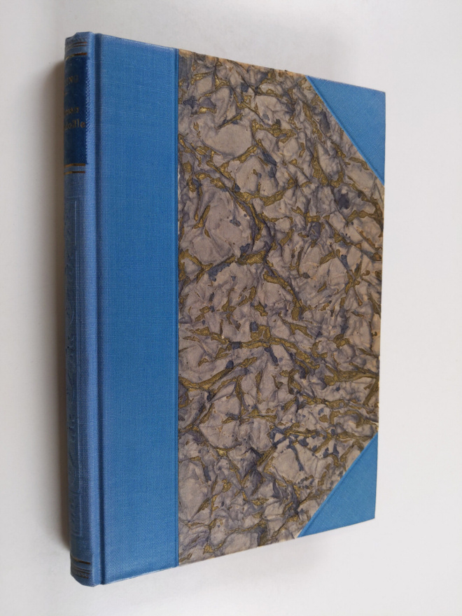 Ellida Erling : Kunnian kukkuloille : kertomus
