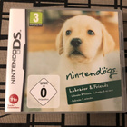 Nintendogs: Labrador & Friends (DS) - pikkukuva 1