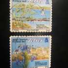 Jersey 2003: rantakasveja - pikkukuva 2
