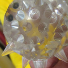 Swarovski Siili ( viiksillä )- noin 5,5 cm - pikkukuva 4