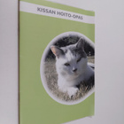 Kissan hoito-opas - pikkukuva 1