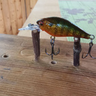 Daiwa Prorex BABY CRANK 4cm - pikkukuva 2