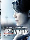 Greyn anatomia (11. tuotantokausi)