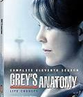 Greyn anatomia (11. tuotantokausi) - pikkukuva 1