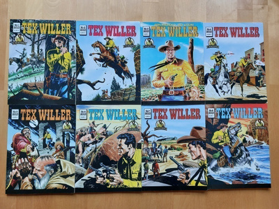 TEX  WILLER - VUOSIKERTA  2013