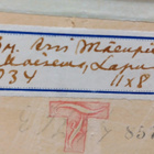 Arvi Mäenpää 1899-1976 "Maisema, Lapua" - pikkukuva 4
