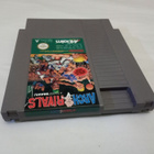 Nes Arch Rivals - pikkukuva 3