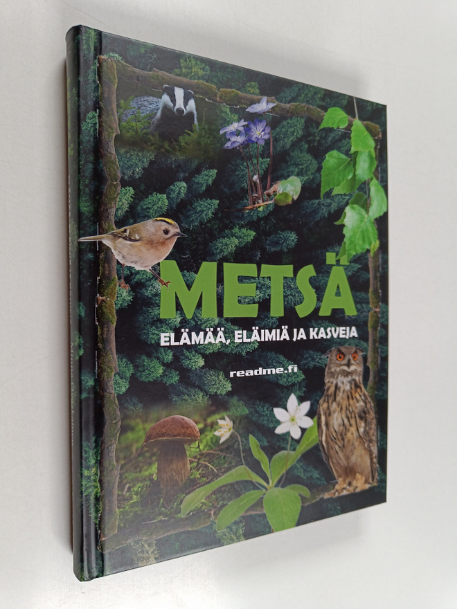 Viljami Ovaskainen : Metsä - elämää, eläimiä, kasveja