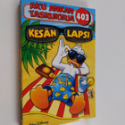Walt Disney : Kesän lapsi - pikkukuva 1