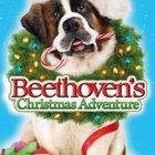 BEETHOVENIN JOULUSEIKKAILU (30 951) k -FI- DVD 2011 - pikkukuva 1
