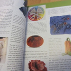 Complete Photo Guide to Felting - Ruth Lane - Uusi - pikkukuva 5