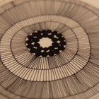2679 Marimekko Oiva Siirtolapuutarha matala lautanen 4 kpl - pikkukuva 3