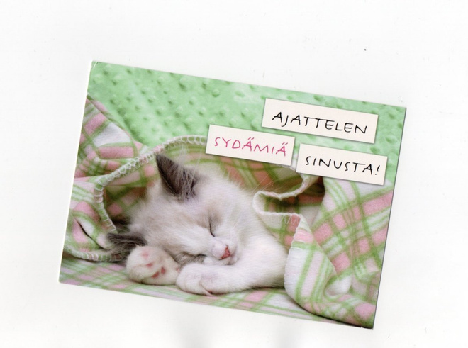 KISSA... °°AJATUS...°° -KORTTI / KARTO (Kimberlin)