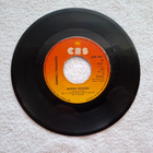 Anneli Pasanen – Sierra Nevada 7" single - pikkukuva 1