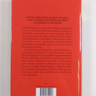 Danielle Steel : Toinen tilaisuus - pikkukuva 2
